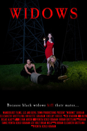 Black Widows Metal Framed Poster