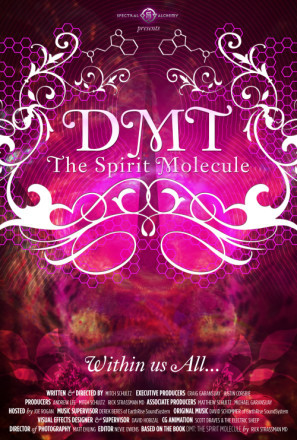 DMT: The Spirit Molecule Wooden Framed Poster