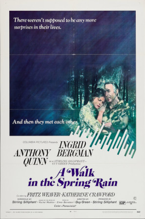 Walk in the Spring Rain Poster with Hanger