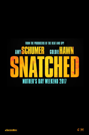 Snatched (2017) posters