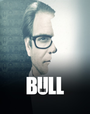 Bull Poster with Hanger