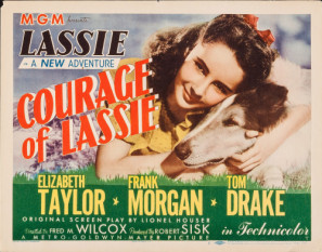 Courage of Lassie puzzle 1468179