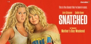 Snatched Poster 1483729