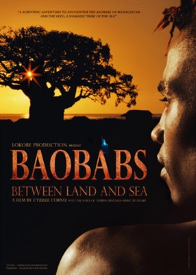 Baobabs between Land and Sea Poster 1511442