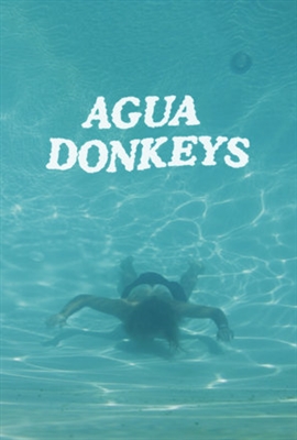 Agua Donkeys Poster 1511591