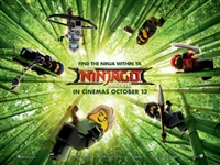 The Lego Ninjago Movie hoodie #1512521
