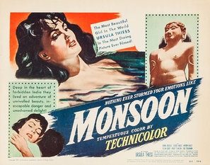 Monsoon pillow