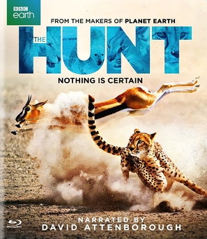 The Hunt  poster