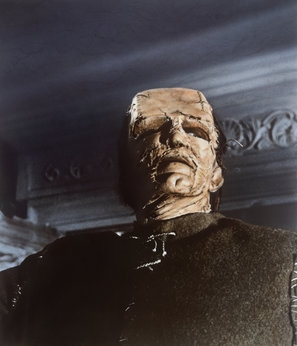The Evil of Frankenstein Poster with Hanger