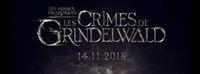 Fantastic Beasts: The Crimes of Grindelwald Mouse Pad 1524007