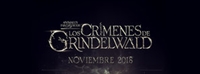 Fantastic Beasts: The Crimes of Grindelwald hoodie #1524008