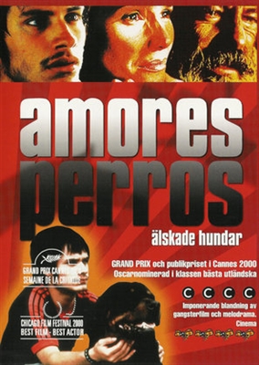 Amores Perros Metal Framed Poster