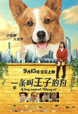 A Dog Named Wang Zi Poster with Hanger