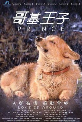 A Dog Named Wang Zi poster