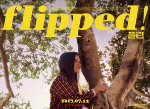 Flipped Poster 1531035