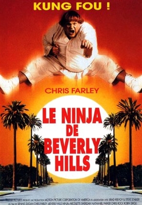 Beverly Hills Ninja Wood Print