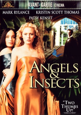 Angels &amp; Insects poster