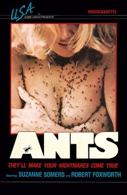 Ants Wooden Framed Poster