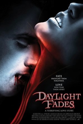 Daylight Fades poster