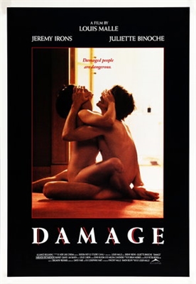 Damage Canvas Poster