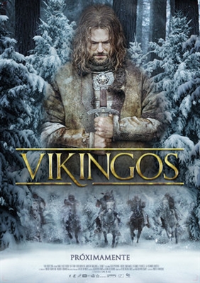 Viking  poster