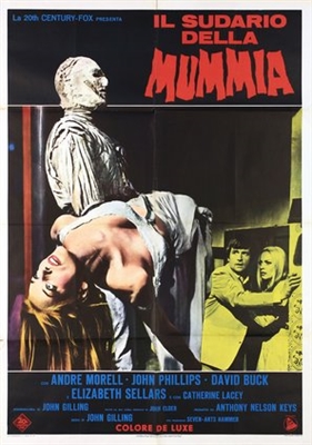 The Mummy's Shroud Metal Framed Poster