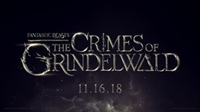 Fantastic Beasts: The Crimes of Grindelwald Longsleeve T-shirt #1542474