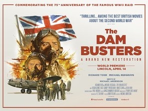 The Dam Busters pillow