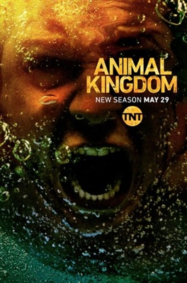 Animal Kingdom Poster 1554826