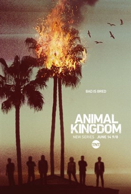 Animal Kingdom Poster 1555347