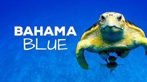 Bahama Blue Canvas Poster