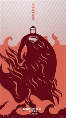 Batman v Superman: Dawn of Justice  Poster 1561373