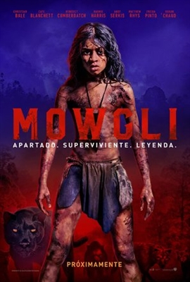 Mowgli puzzle 1563256