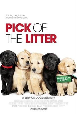 Pick of the Litter Poster with Hanger