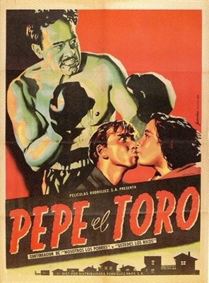 Pepe El Toro pillow