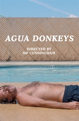 Agua Donkeys Poster 1566761