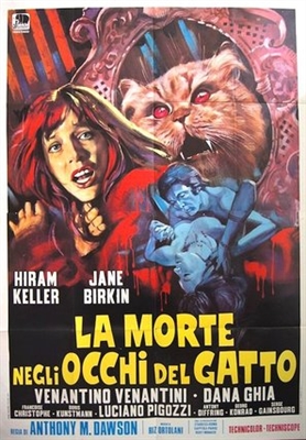 La morte negli occhi del gatto Metal Framed Poster