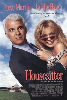 HouseSitter poster
