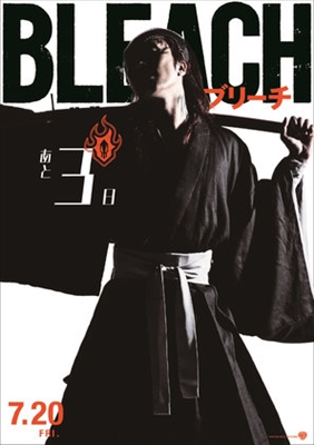 Bleach Poster with Hanger