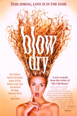 Blow Dry poster