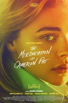 The Miseducation of Cameron Post Metal Framed Poster