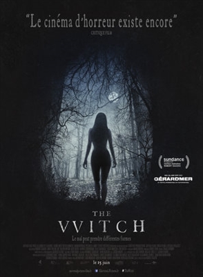 The Witch Metal Framed Poster