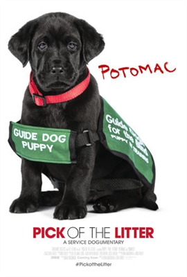 Pick of the Litter tote bag