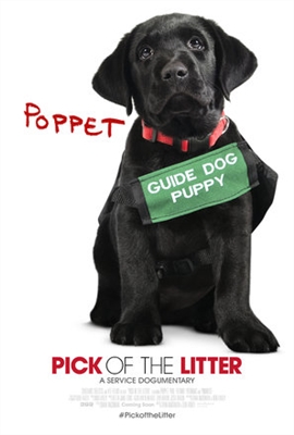 Pick of the Litter Canvas Poster