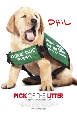 Pick of the Litter poster