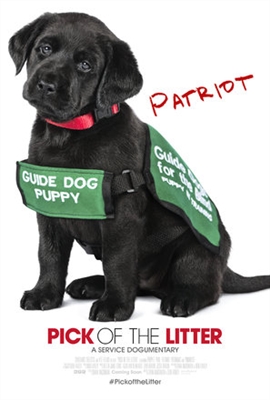 Pick of the Litter Poster with Hanger
