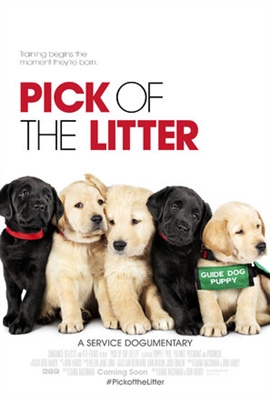 Pick of the Litter Stickers 1573548