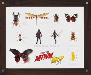 Ant-Man and the Wasp Poster 1575207