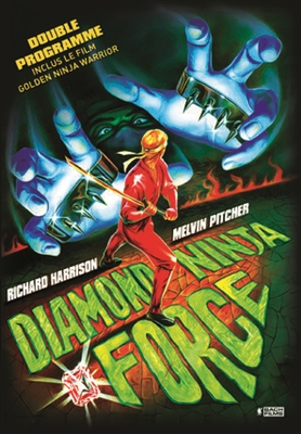 Diamond Ninja Force Wooden Framed Poster