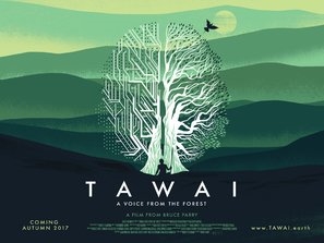 Tawai: A voice from the forest Phone Case